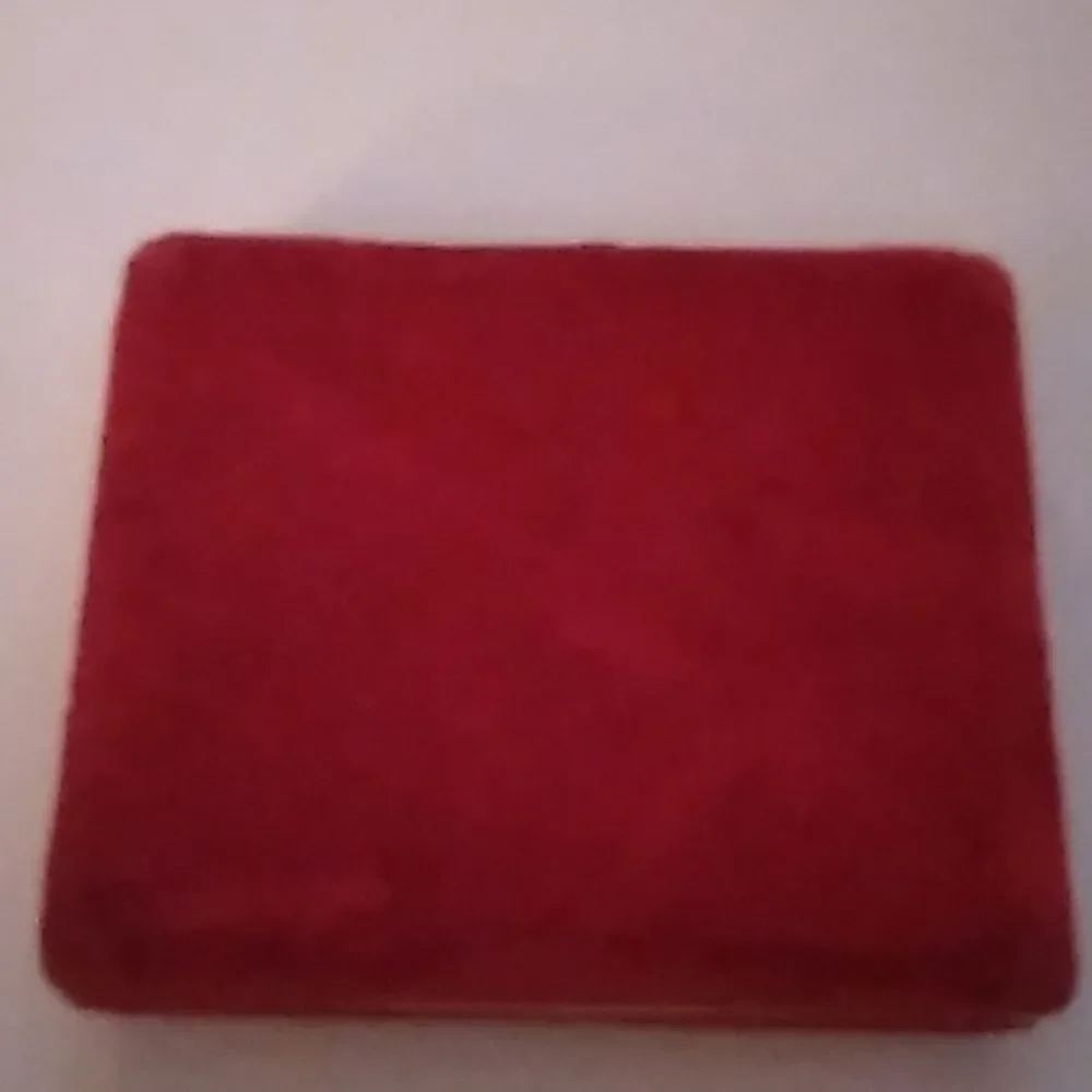 Travel Earring Case